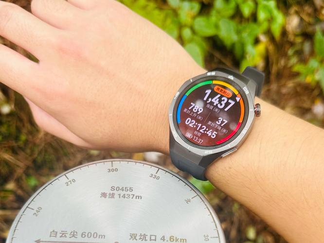 华为watchgt海拔 校准游戏截图