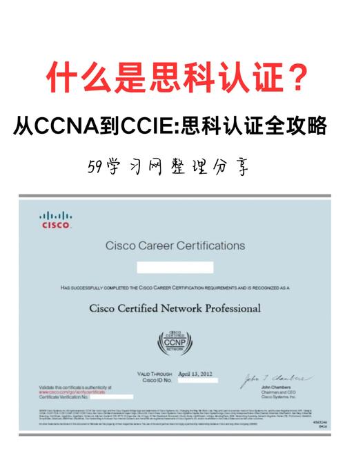 cytoid国际服注册缩略图