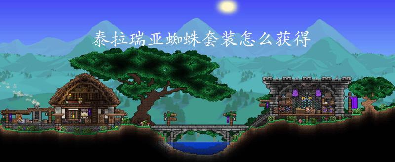 泰拉瑞亚蜘蛛网id游戏截图