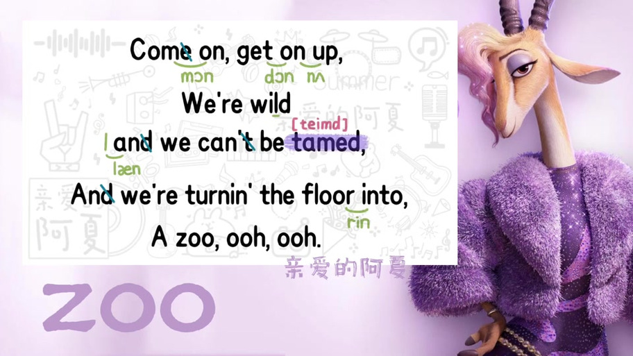 ZOO与ZoomZoom的区别缩略图