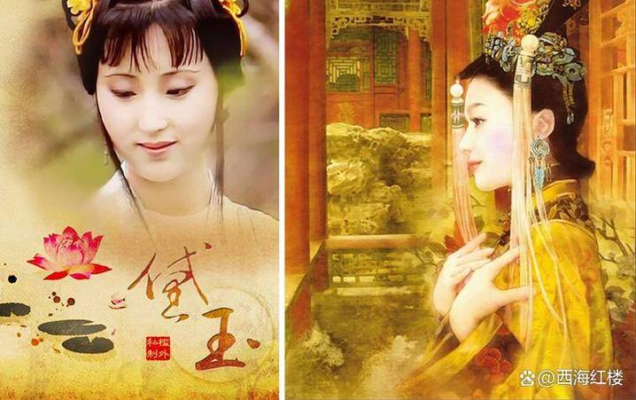 林黛玉被强盗抓住,被北静王救小说