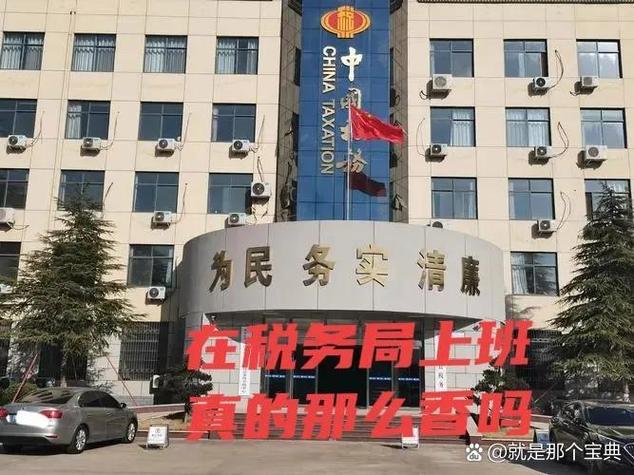 崂山税务局领导班子成员