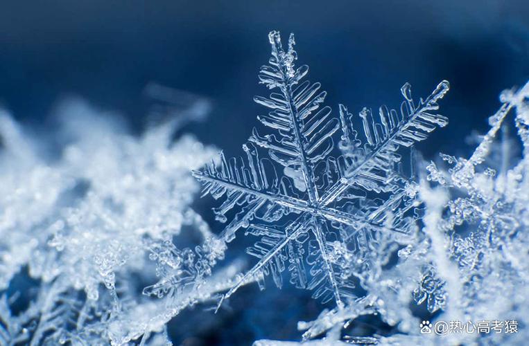 雪花内部辅助的原理缩略图
