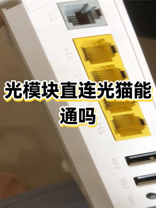 网络机顶盒可以直接插光猫吗