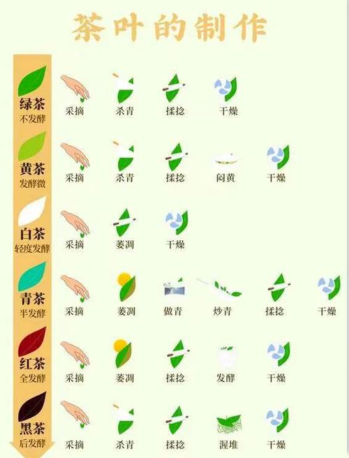 茶叶的功效与作用缩略图