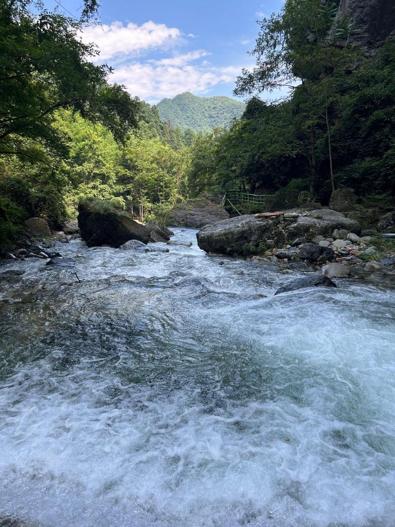 中国五大溪村