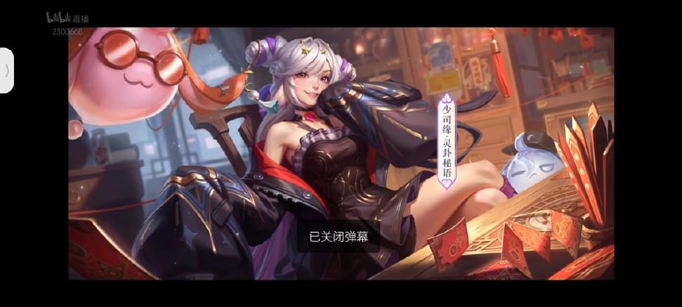 王者荣耀皮肤修改器下载游戏截图