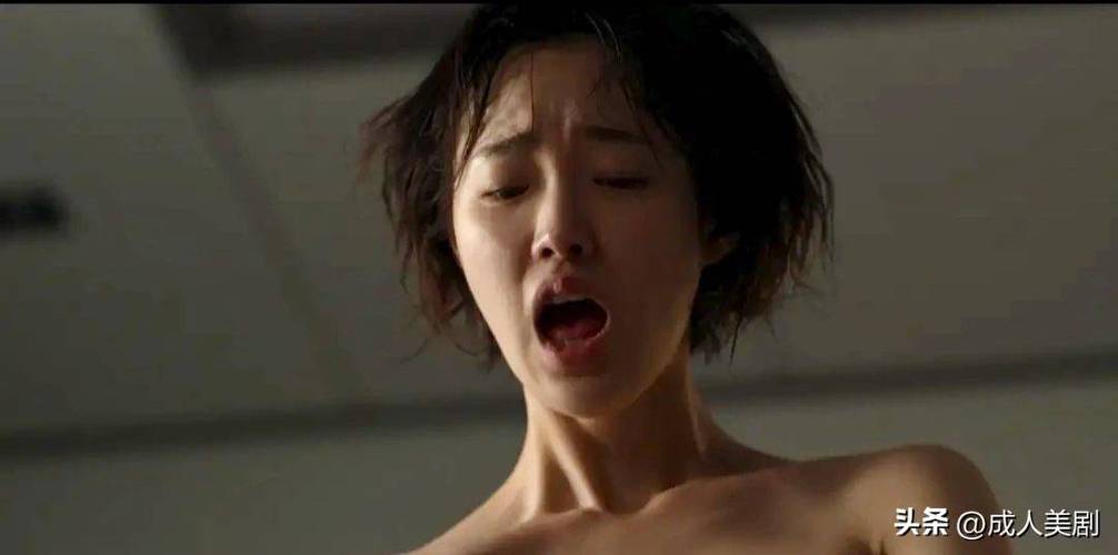 评分8分以上电视剧