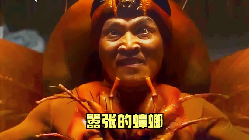 捕捉蟑螂神器制作