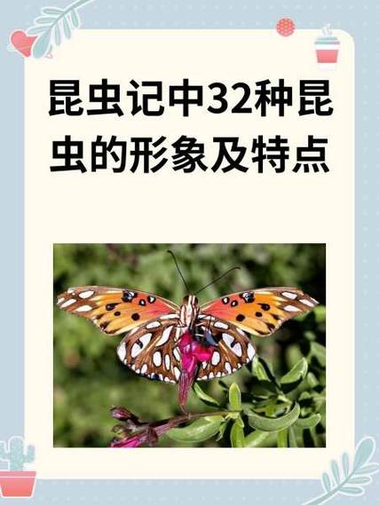 各类昆虫图片及名称游戏截图