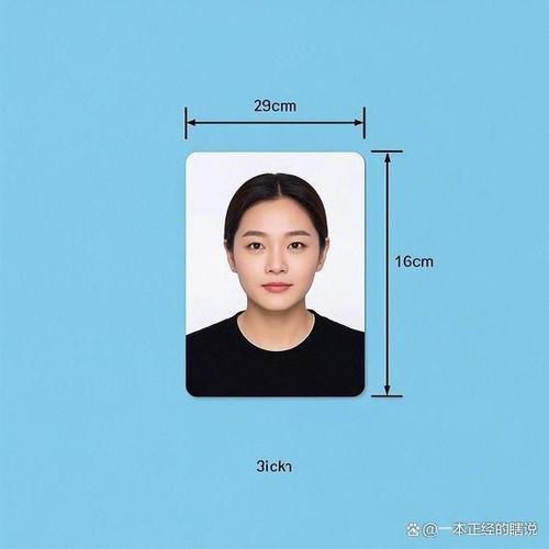 一寸照片尺寸比例像素缩略图