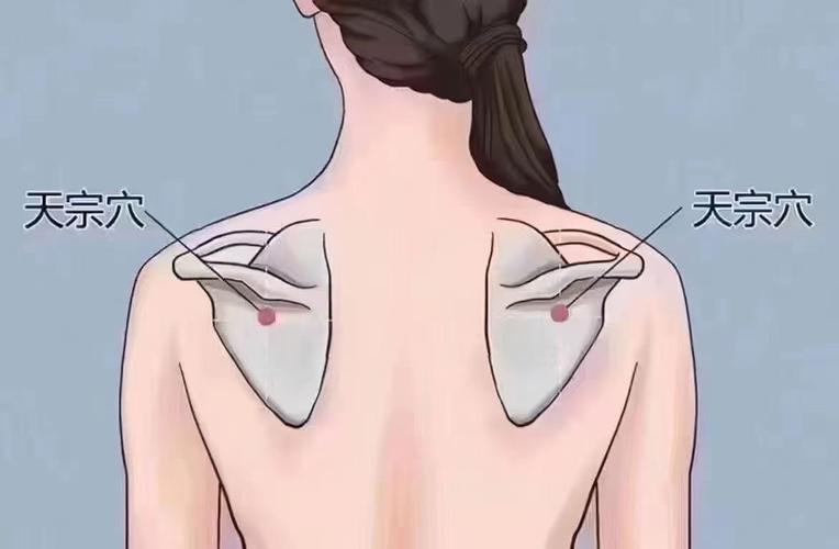 赞美女人脖子漂亮的成语