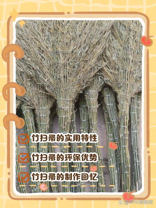 竹帮帮是干嘛的图标