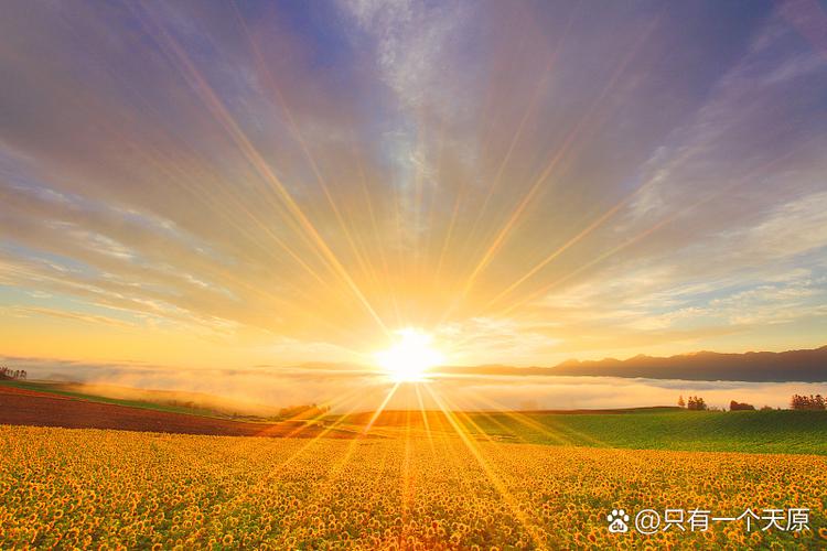 阳光风景图片缩略图