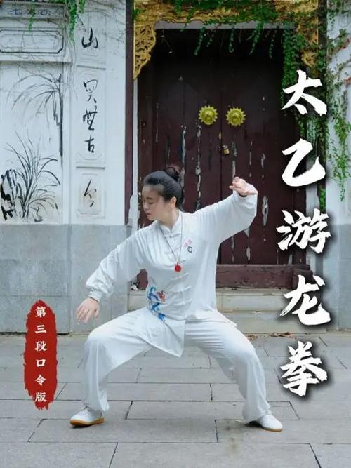 武功里哪种最柔