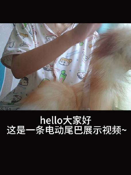 尾巴插件是什么图标