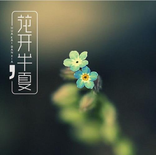 《花开半夏》大结局缩略图