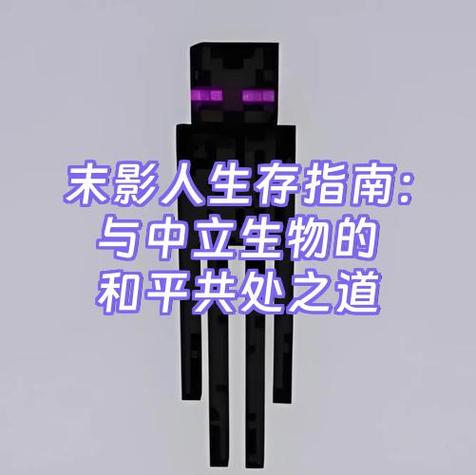 我的世界末影人生成条件缩略图