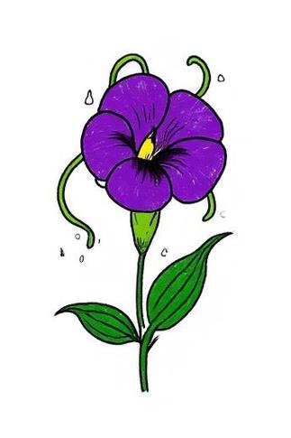 花简笔画图片