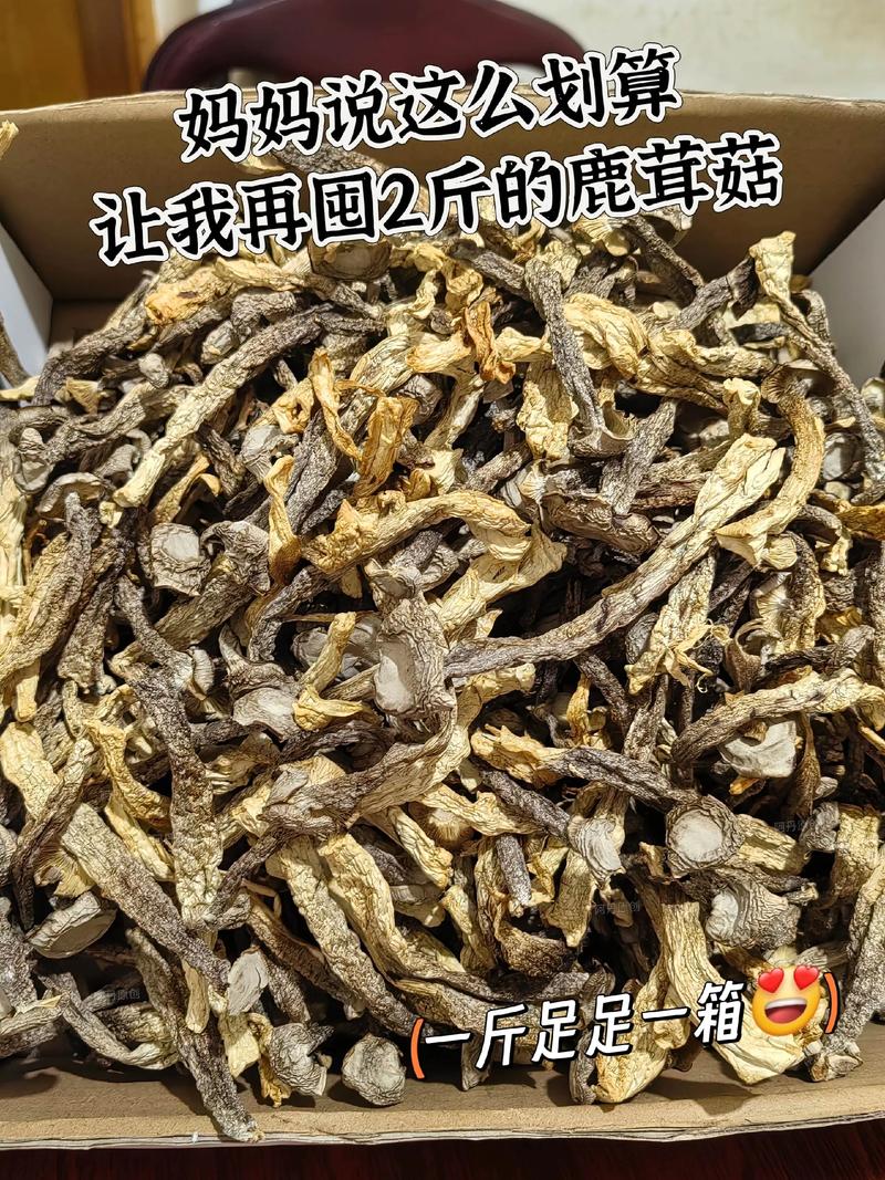 鹿茸价格多少一斤图标
