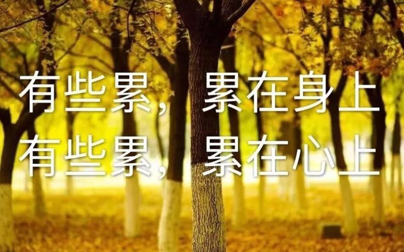 自己累的句子说说心情游戏截图