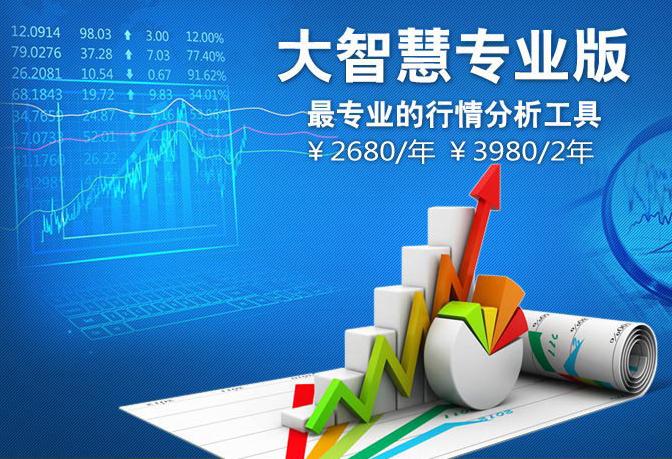 大智慧专业版官方网站游戏截图
