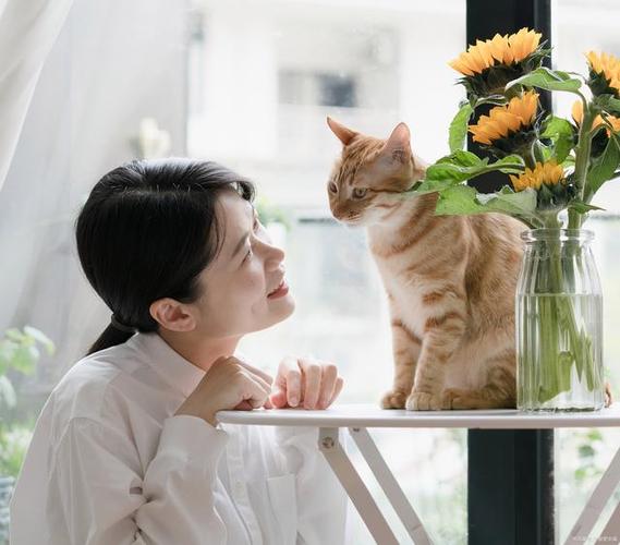 女人如猫什么意思