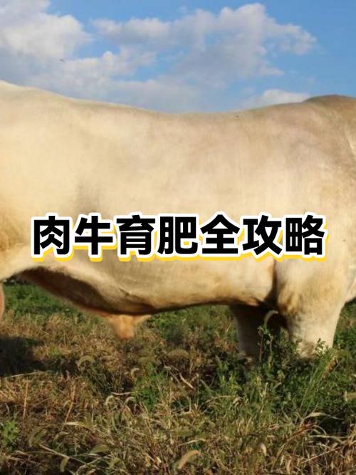 养30头牛一年的利润有多少钱缩略图