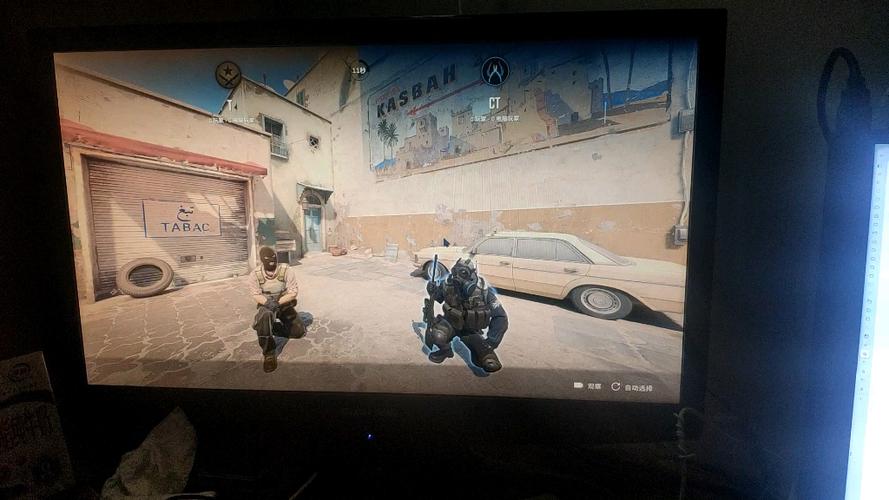 CS2鼠标和显示位置不一致游戏截图