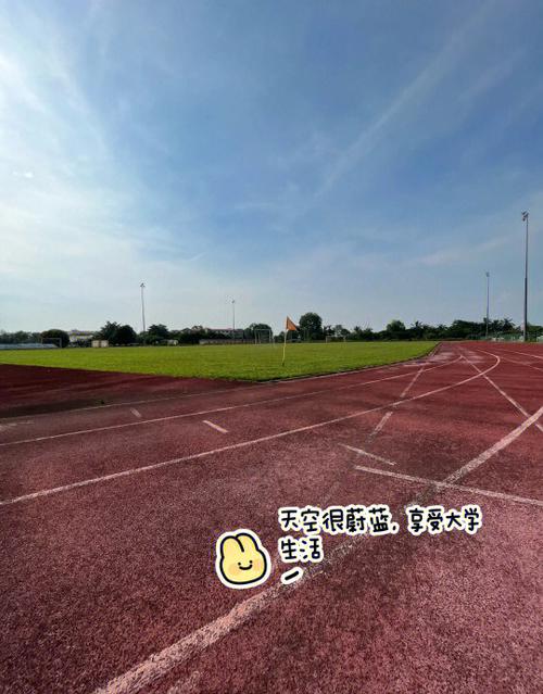 我的校园生活100字游戏截图
