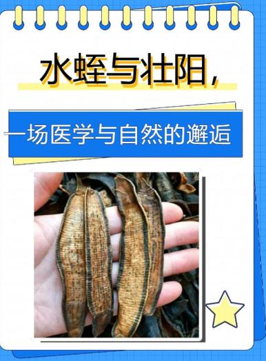 水蛭vs大便明哥奇趣图标