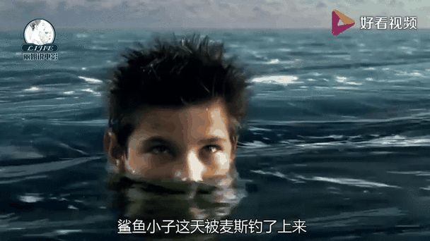 鲨鱼小子缩略图