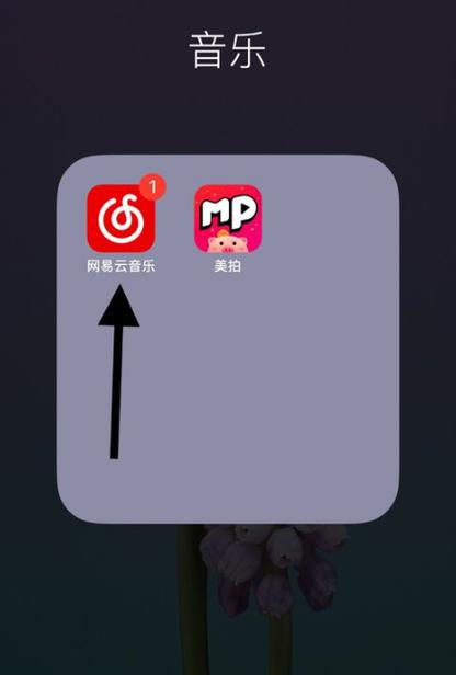 网易云音乐没有歌词显示缩略图