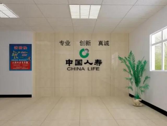 中国最正规的保险公司