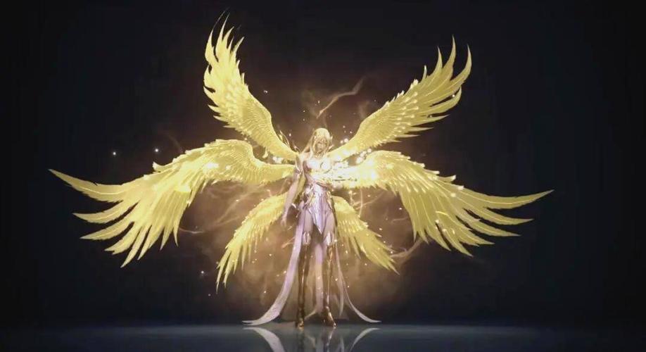 斗罗:八供奉,开局签到唐昊