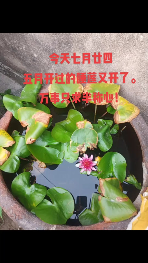 闲鱼关闭语音电话后还是收到游戏截图