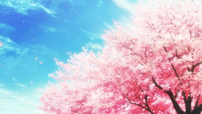 《悠悠哉哉》樱花动漫缩略图