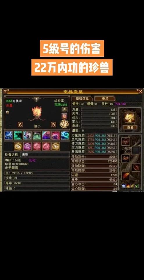 天龙八部珍兽上技能技巧游戏截图