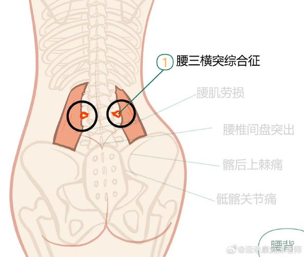 左边腰侧边里面隐隐作痛男性游戏截图