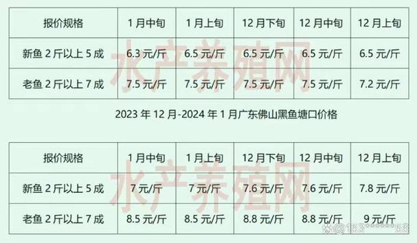 黑鱼多少钱一斤2026年价格缩略图
