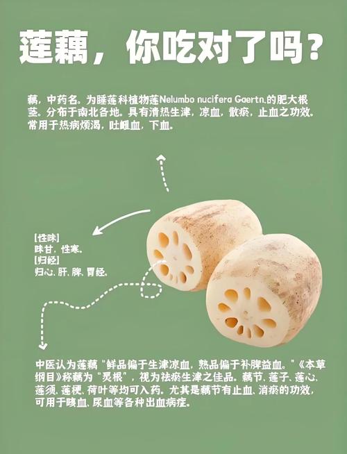 莲藕怎么放不会坏