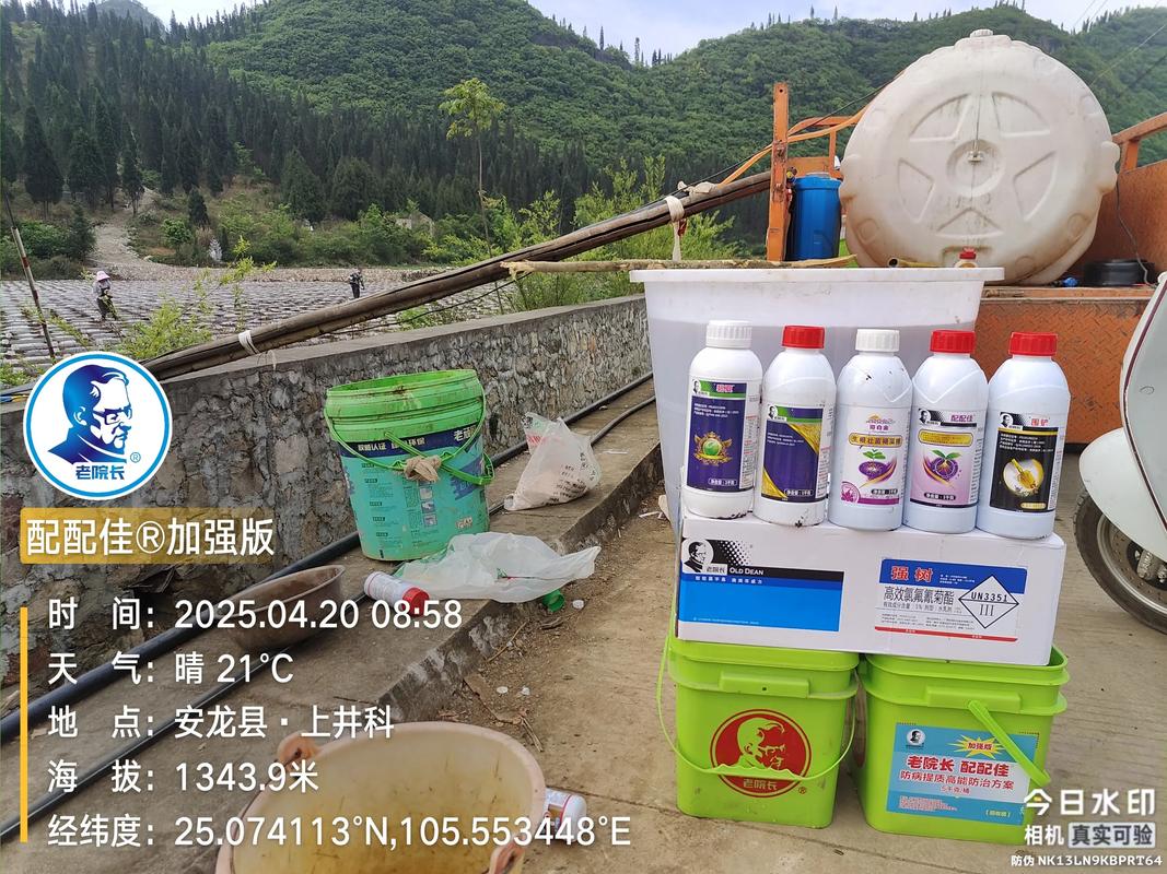可字的最佳配字游戏截图