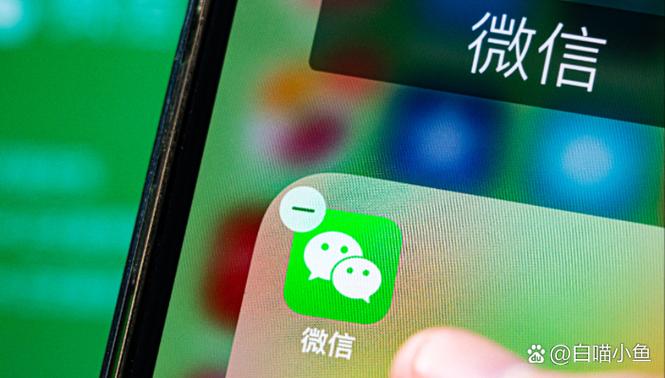 微信旧版本大全2023缩略图