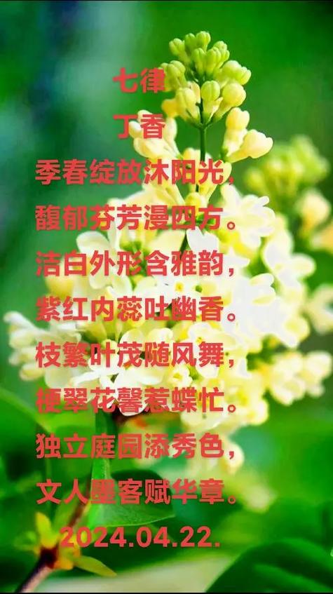 咏丁香的七律诗词游戏截图