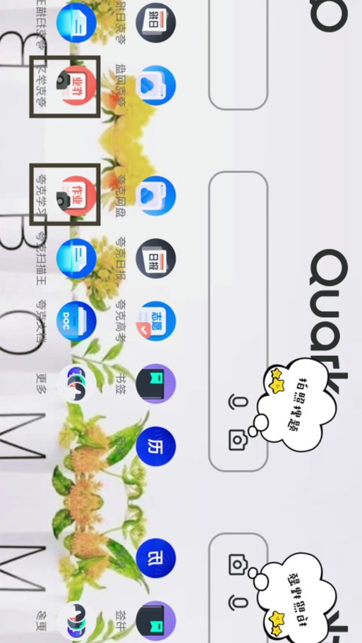 夸克悬浮窗图标