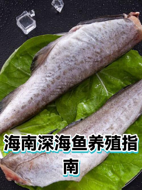 最适合孕妇吃的深海鱼