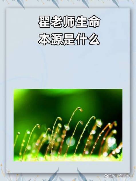 翟老师讲的什么是生命的本源图标