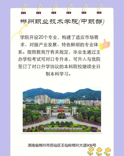 智慧郴职最新版本缩略图