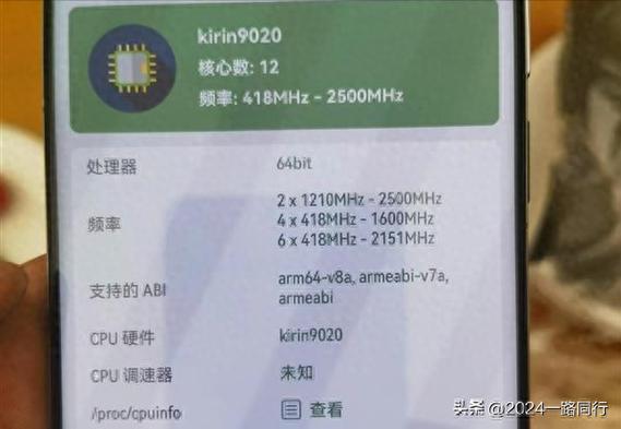 麒麟9020属于什么水平游戏截图