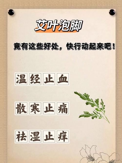 痛风可以用艾叶泡脚吗